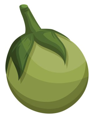 Beyaz arka plan müziği sebze yeşil patlıcan vektör Illustration