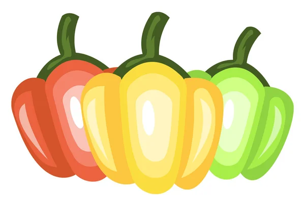 Three Capsicums vector color illustration. — Stock Vector