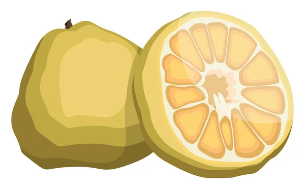 Ilustração vetorial de fruta amarela feia meia fruta amarela sagacidade — Vetor de Stock