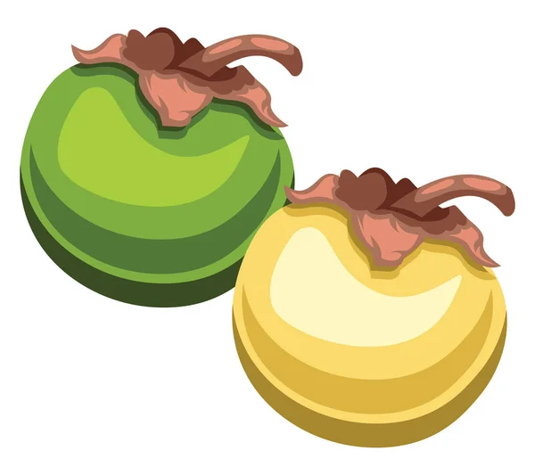 Vector illustyartion de nance fruta verde y amarillo con marrón — Vector de stock