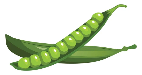 Cartoon of green peas vector illustration on white background. — Stock Vector