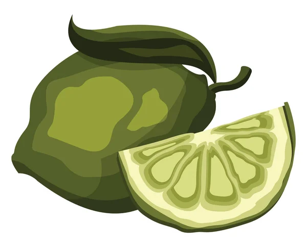 Fruto de lima verde con una ilustración de vectores de rodajas en respaldo blanco — Vector de stock