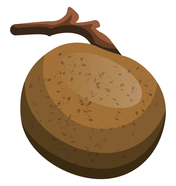 Cartone animato di un frutto bruno longano su un ramo vettoriale illustrazione — Vettoriale Stock