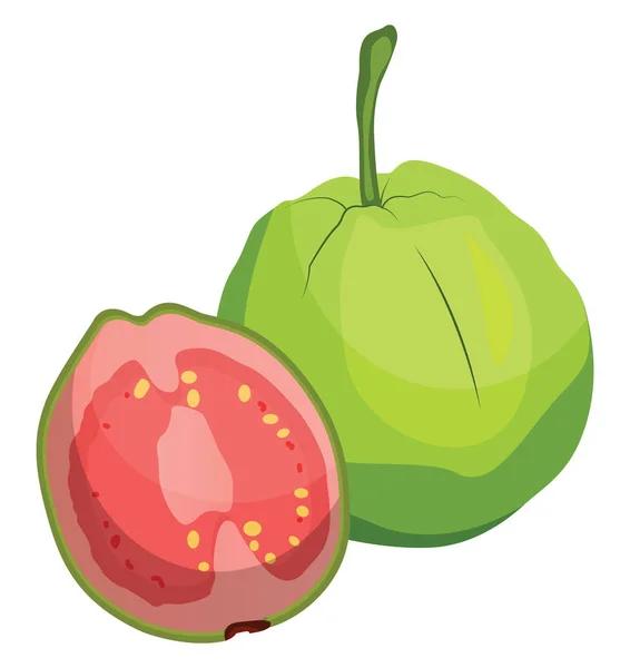 Frutta di guava verde tagliata a metà illustrazione vettoriale su dorso bianco — Vettoriale Stock