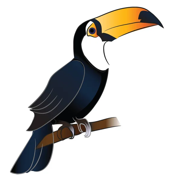 Toucan Bird met oranje snavel vector of kleur illustratie — Stockvector