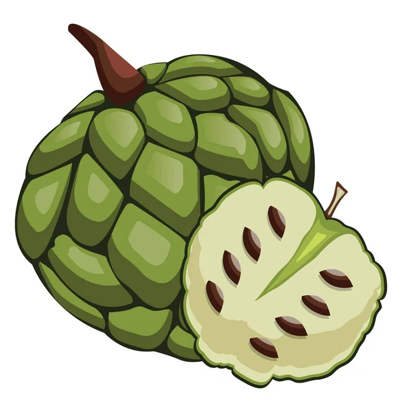 Cherimoya verde tagliato a metà cartone animato frutta vettore illustrazione su — Vettoriale Stock