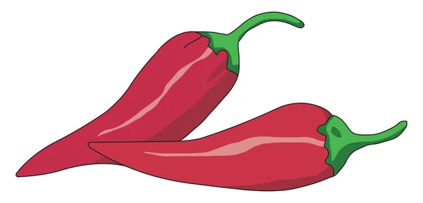 Vector de pimienta picante roja fresca o ilustración de color — Vector de stock