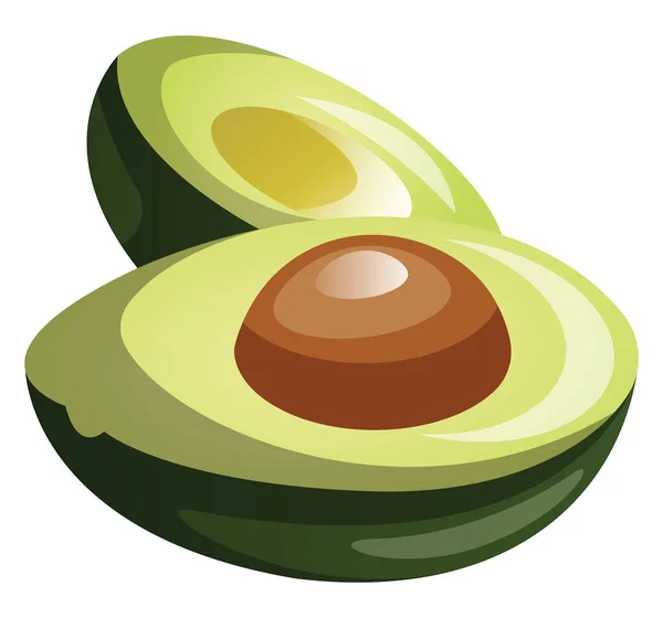 Grüne Avocado halbiert Cartoon Fruchtvektor Illustration auf w — Stockvektor