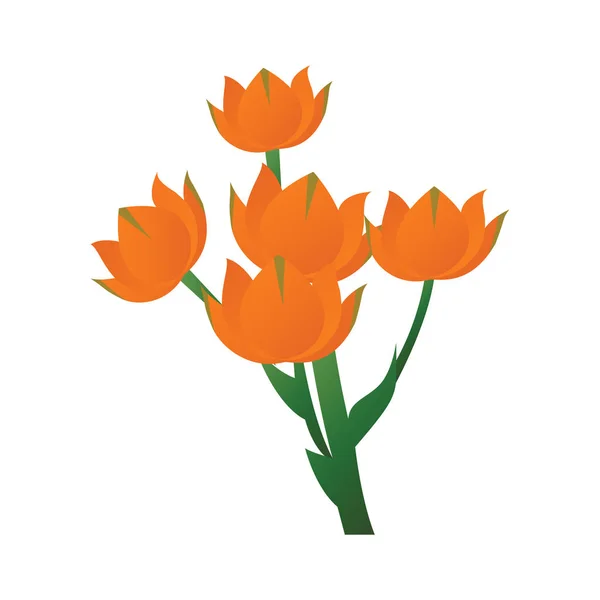 Vector illustratie van ster van Bethlehem oranje bloem met gree — Stockvector