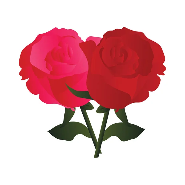 Векторная иллюстрация розовых и красных роз с зелеными листьями на w — стоковый вектор