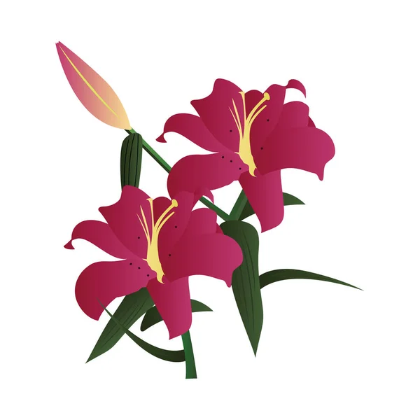 Ilustración vectorial de flores de lirio rosa oscuro con hojas verdes a — Vector de stock