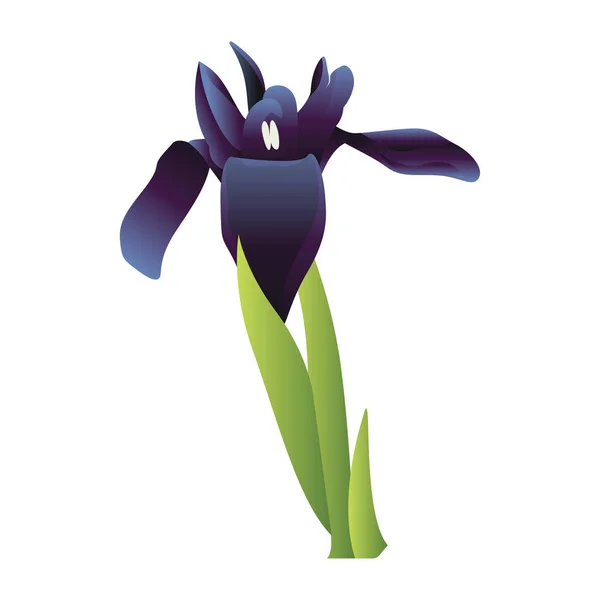 Ilustración vectorial de flor de iris azul con hojas verdes en whi — Vector de stock