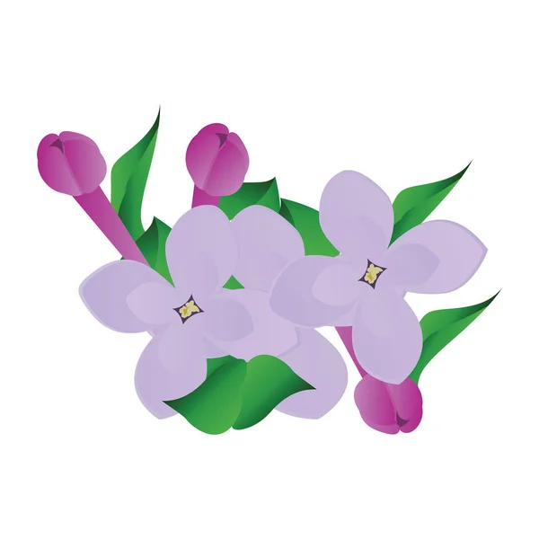 Ilustración vectorial de flores lila púrpura y violeta con gree — Vector de stock