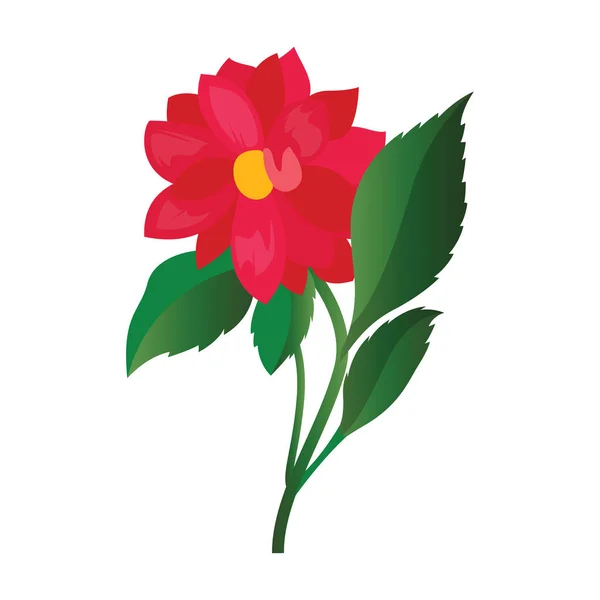 Vector illustratie van fel roze Dahlia bloem met groen blad — Stockvector