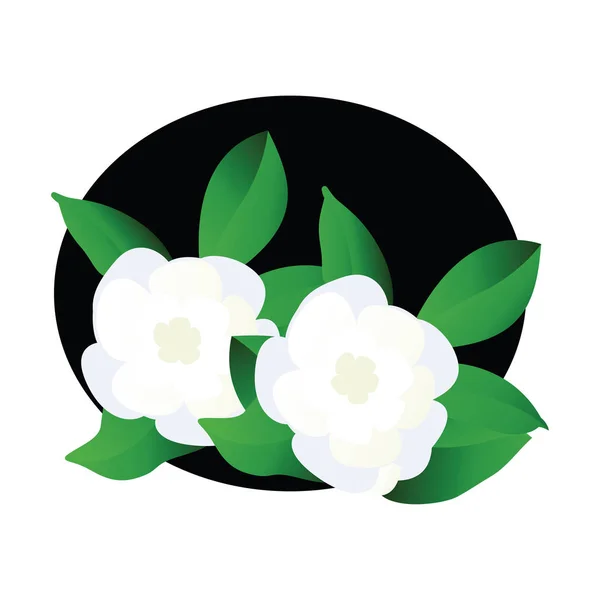 Vector illustration of white gardenia  flowers with green leafs