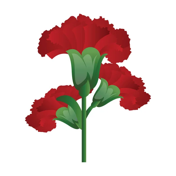 Vector illustratie van rode anjer bloemen op witte backgrou — Stockvector