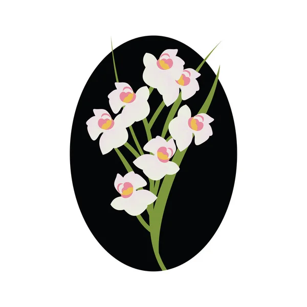 Ilustração vetorial de flores brancas da orquídea do cymbidium com gree —  Vetores de Stock