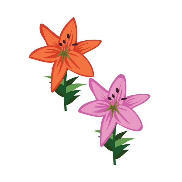 Απεικόνιση διάνυσμα από πορτοκαλί και βιολετί ασιατικά λουλούδια — Διανυσματικό Αρχείο