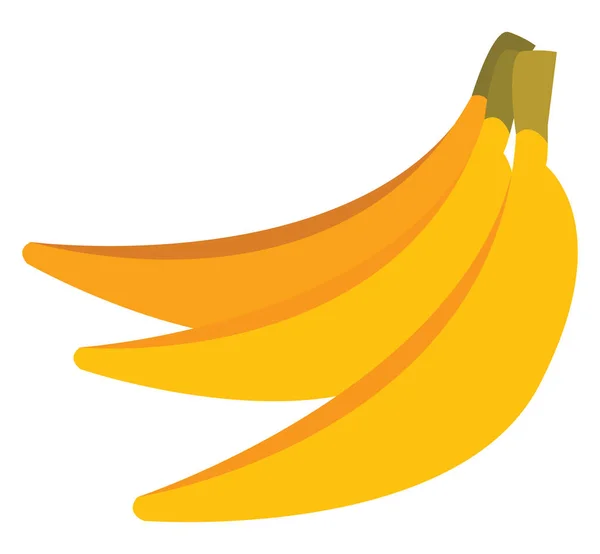 Ilustração vetorial ou colorida de bananas — Vetor de Stock