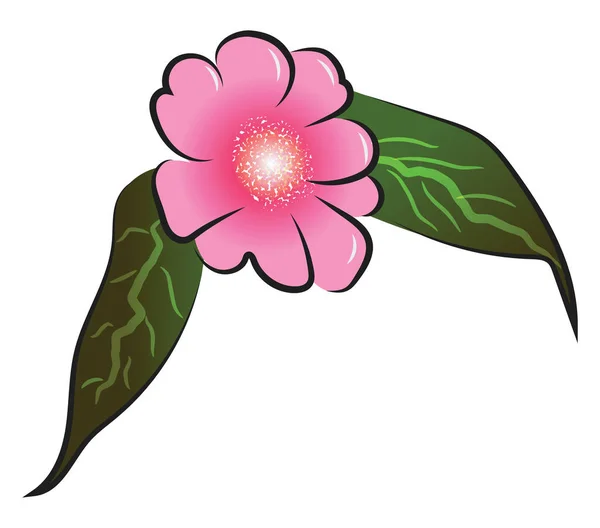 Flor rosa com vetor de folhas ou ilustração de cor —  Vetores de Stock