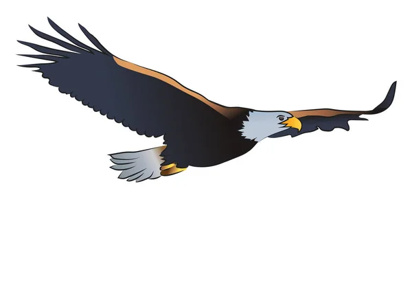 Aigle à ailes déployées vecteur ou illustration couleur — Image vectorielle