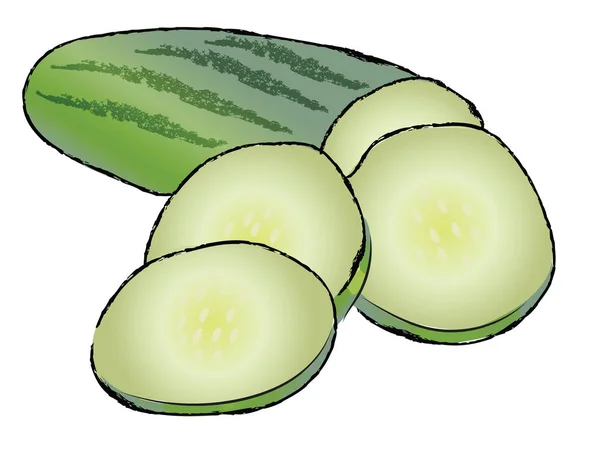 Concombre tranché pour vecteur de salade ou illustration couleur — Image vectorielle