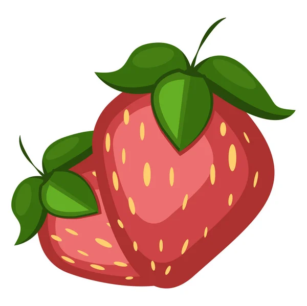 Two Strawberries, vector color illustration. — Stock Vector