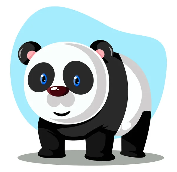 Panda blanco, ilustración de color vectorial . — Archivo Imágenes Vectoriales