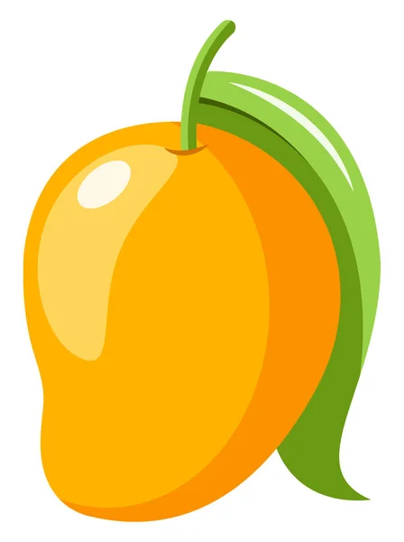 Mango, ilustración de color vectorial . — Archivo Imágenes Vectoriales