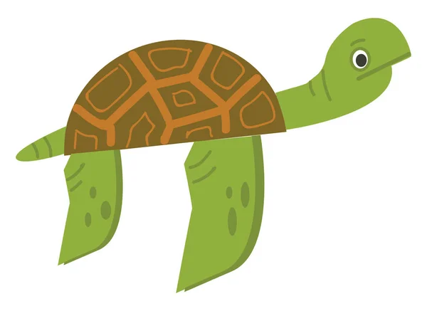 Tortuga vector ilustración de color . — Archivo Imágenes Vectoriales