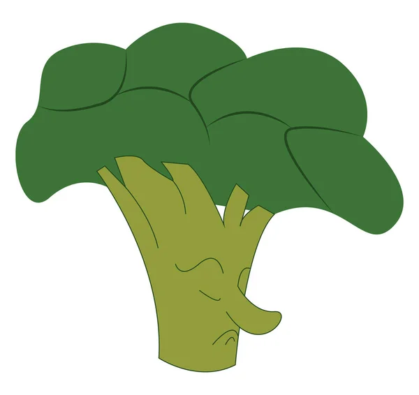 En broccoli vektor färg illustration. — Stock vektor