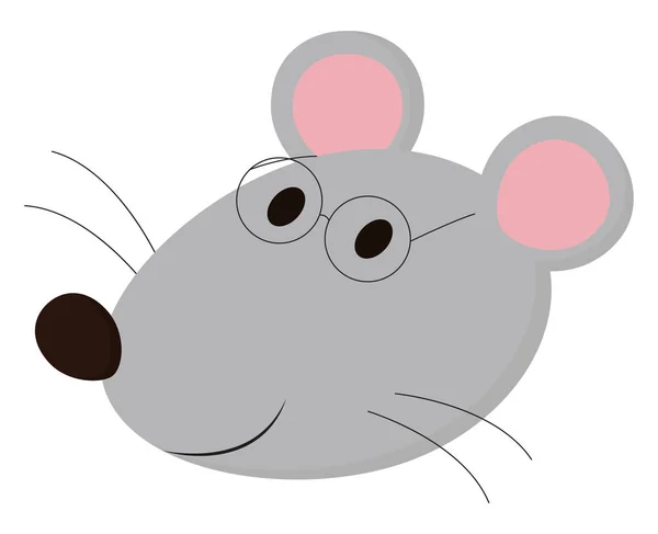 Mouse vector color illustration. — Stock Vector