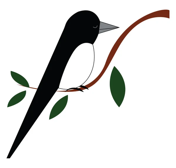 Μαύρο πουλί σε κλαδί δέντρου, απεικόνιση διανυσματικού χρώματος. — Διανυσματικό Αρχείο