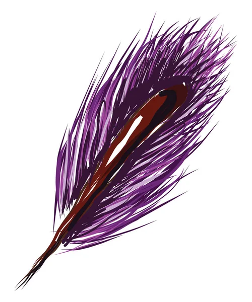 Une plume violette, illustration vectorielle en couleur . — Image vectorielle