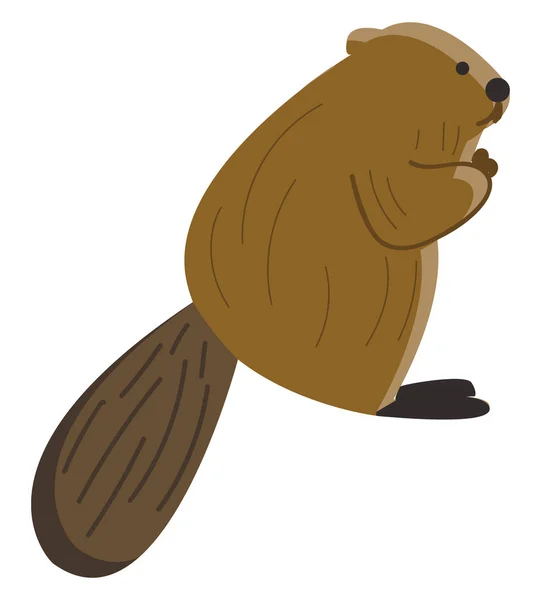 Un castor marrón, ilustración de color vectorial . — Archivo Imágenes Vectoriales