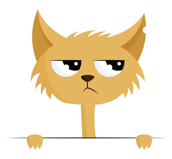 Angry cat with torn ear, vector color illustration. — Stock Vector