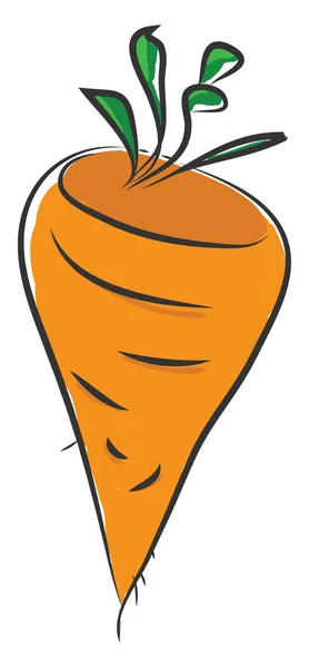 Zanahoria, ilustración de color vectorial . — Vector de stock