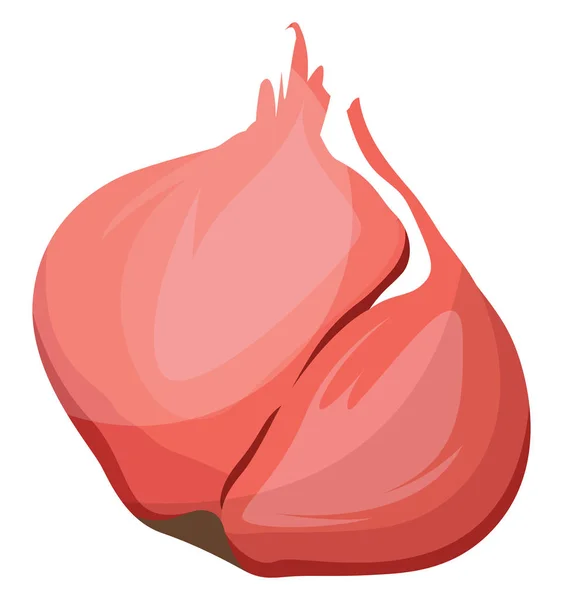 Échalotes rose foncé illustration vectorielle de légumes sur ba blanc — Image vectorielle