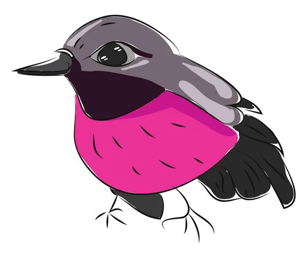 Un pájaro de color negro y rosa, ilustración de color vectorial . — Vector de stock