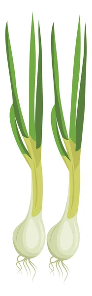 Oignons blancs de printemps avec des feuilles vertes illustration vectorielle de vege — Image vectorielle