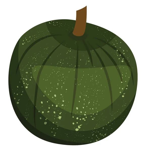 Zielona dynia wektor ilustracji warzyw na białym backgro — Wektor stockowy