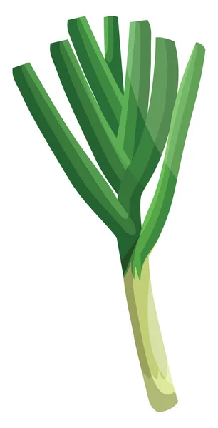 Licht groene prei met donkergroene bladeren vector illustratie van v — Stockvector