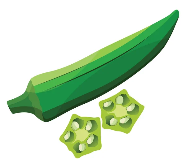 Green okra with light green okra slices vector illustration of v — Stock Vector