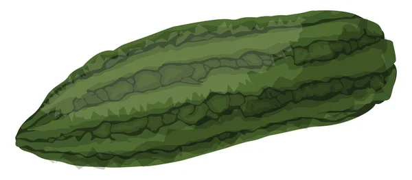Зеленая горькая дыньвекторная иллюстрация овощей на белом берегу — стоковый вектор