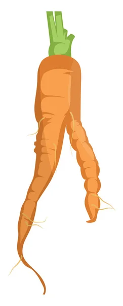 Naranja dibujos animados zanahoria vector ilustración de verduras en blanco — Vector de stock