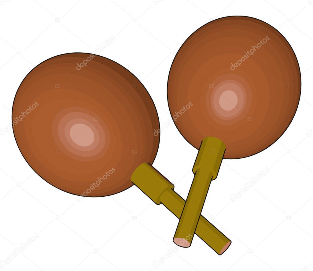 Maraca or rattle instrument vector or color illustration