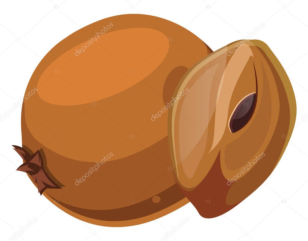Orange chico cut in half  cartoon fruit vector illustration on w