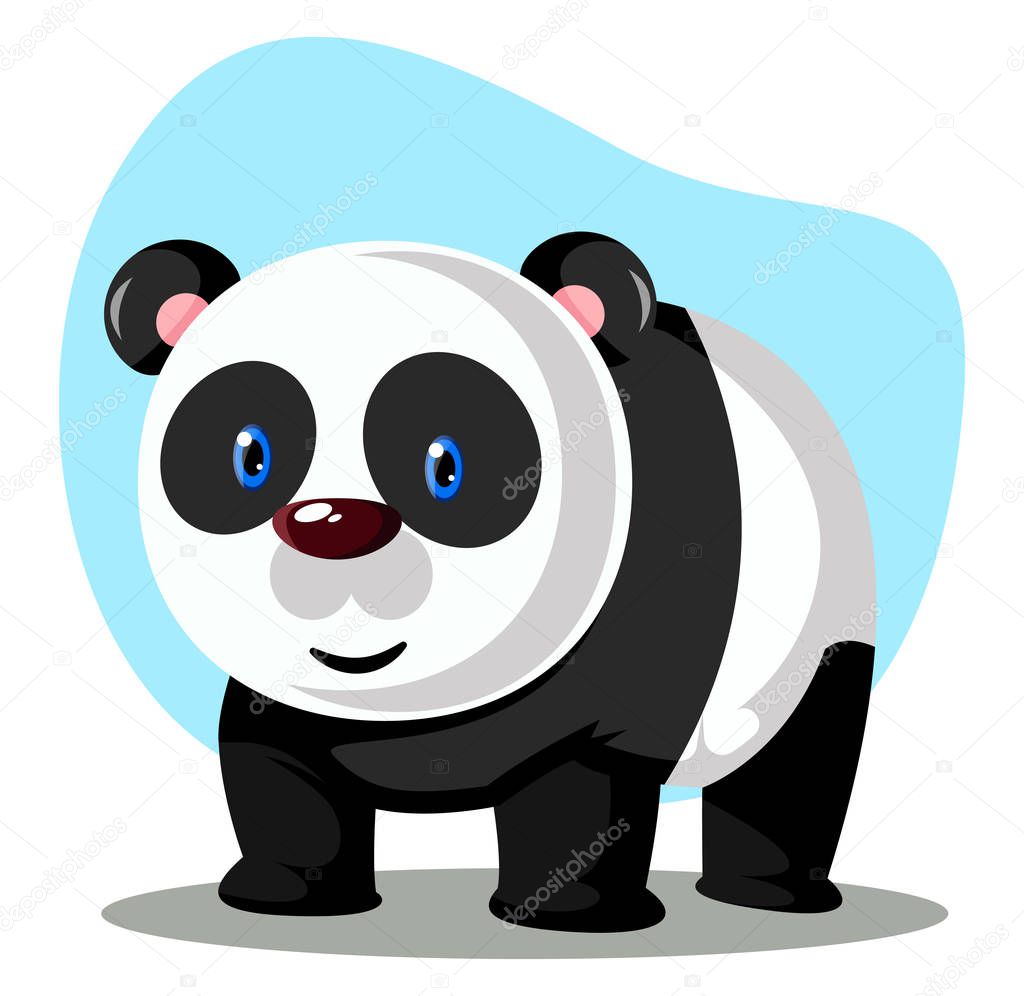 White Panda, vector color illustration.