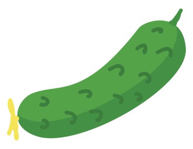 Beyaz arka planda basit salatalık vektör illüstrasyon.