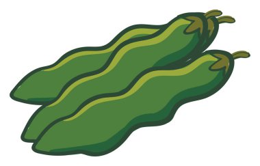 Beyaz arka planda üç yeşil fasulye vektör illüstrasyon